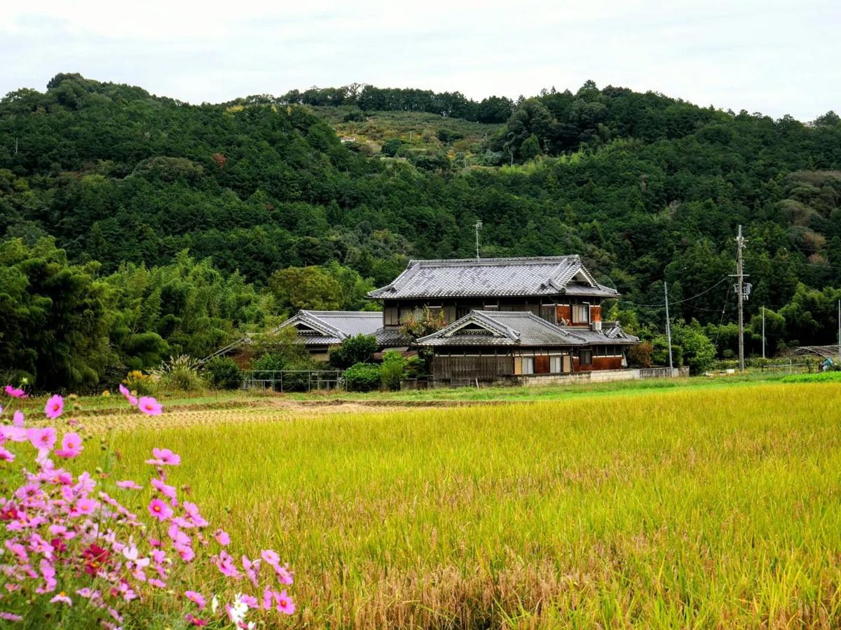 Une maison de campagne, au bord des rizières