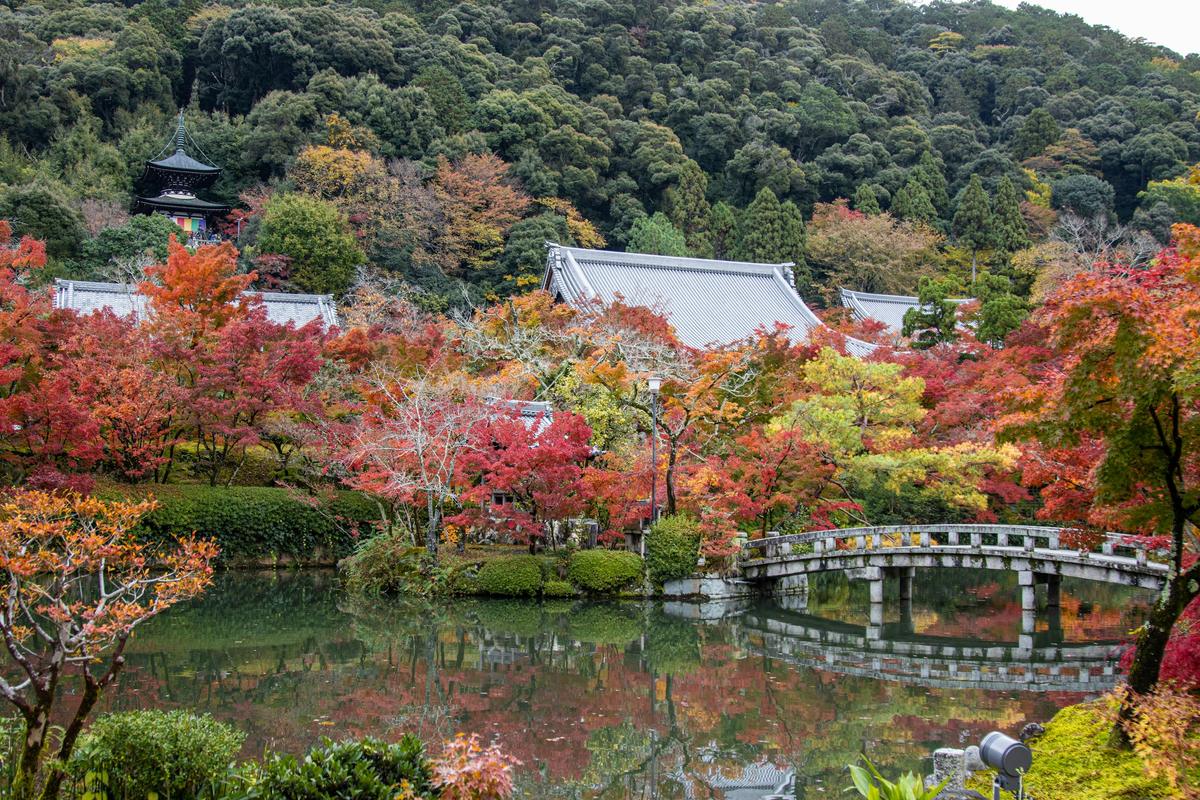 Un jardin de temple, en automne