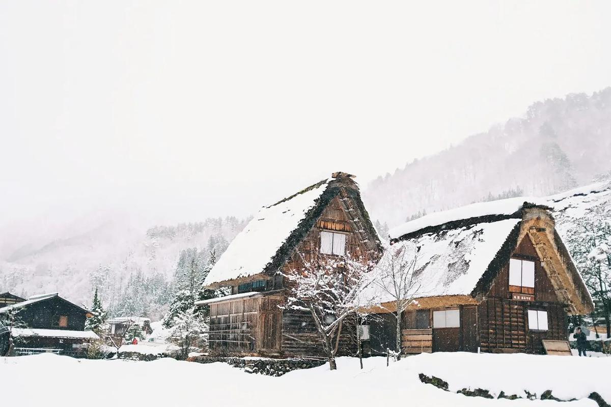 Les fermes au toit de chaume de Shirakawa-go, sous la neige